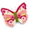 Букет Пеперуда от живи цветя